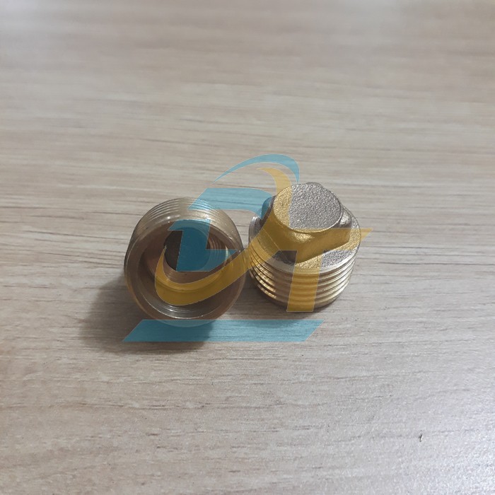 Nắp bít ren ngoài đồng thau phi 21