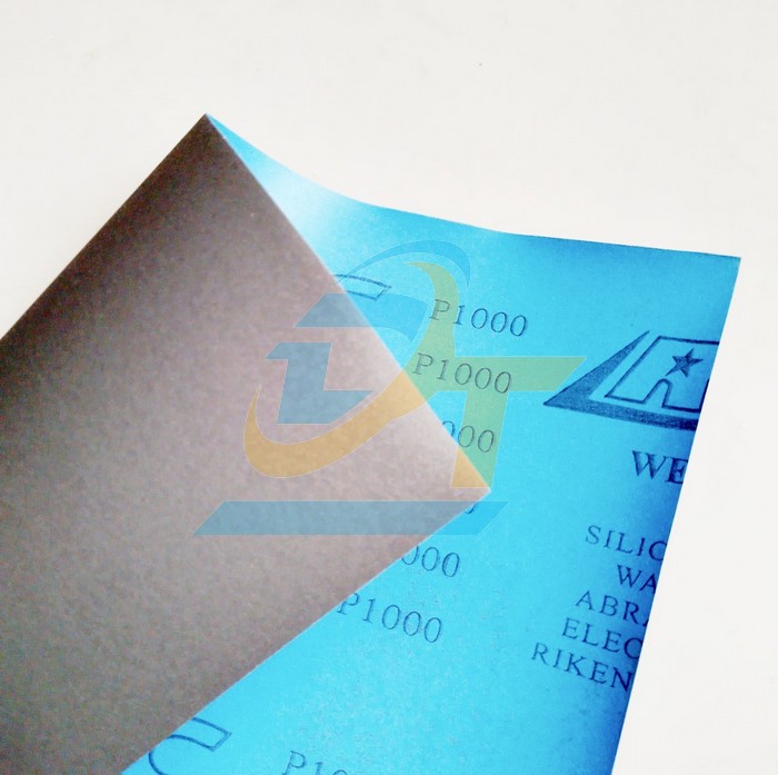 Giấy nhám nước RMC CP38 P240
