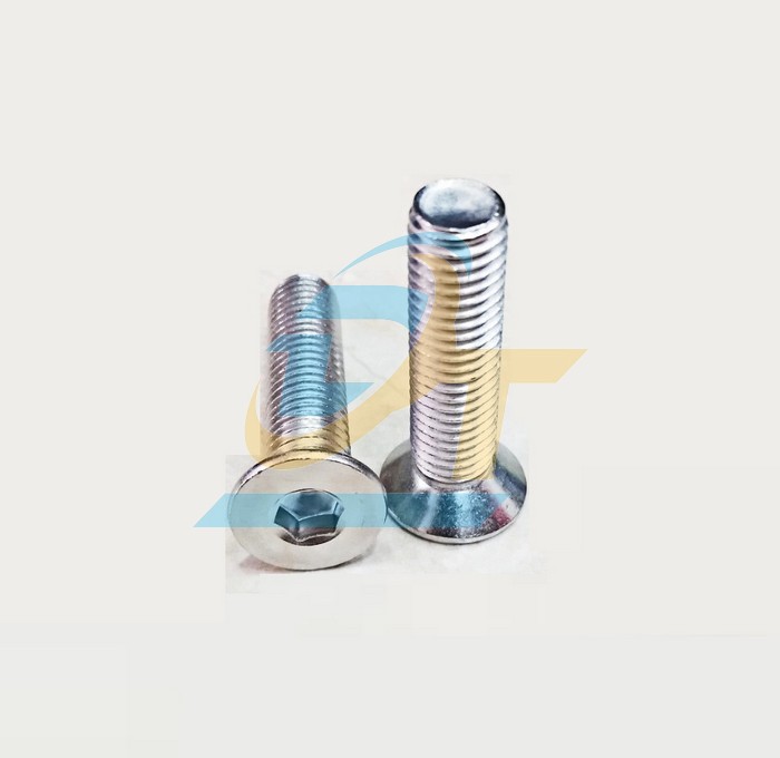 Bulong lục giác chìm đầu bằng inox 304 M12x50