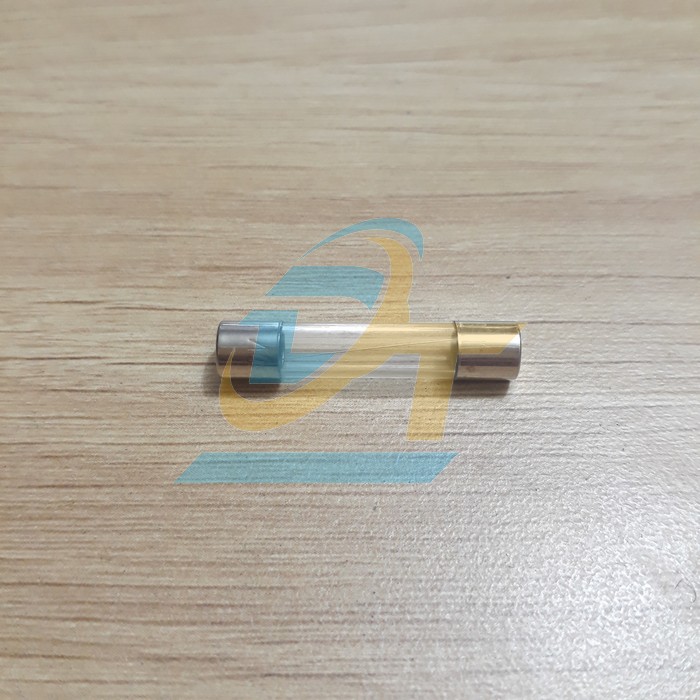 Cầu chì ống thủy tinh 2A 5x20mm  China | Giá rẻ nhất - Công Ty TNHH Thương Mại Dịch Vụ Đạt Tâm