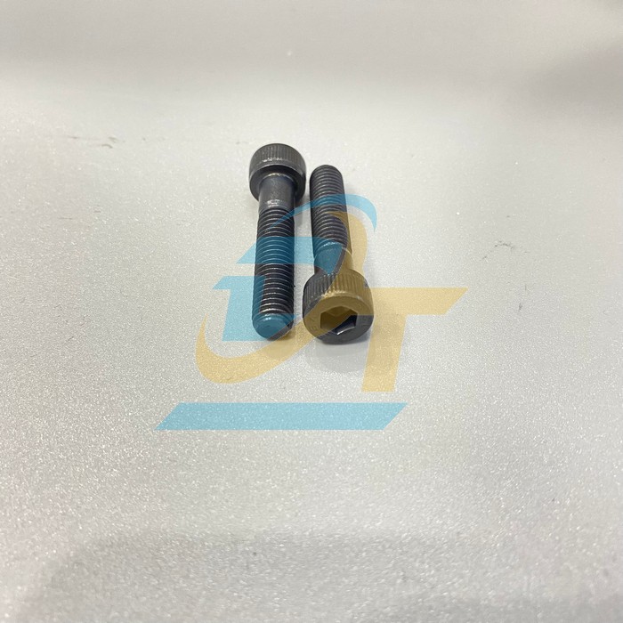 Bulong lục gi&aacute;c ch&igrave;m đầu trụ th&eacute;p đen ren lửng M10x50  VietNam | Gi&aacute; rẻ nhất - C&ocirc;ng Ty TNHH Thương Mại Dịch Vụ Đạt T&acirc;m