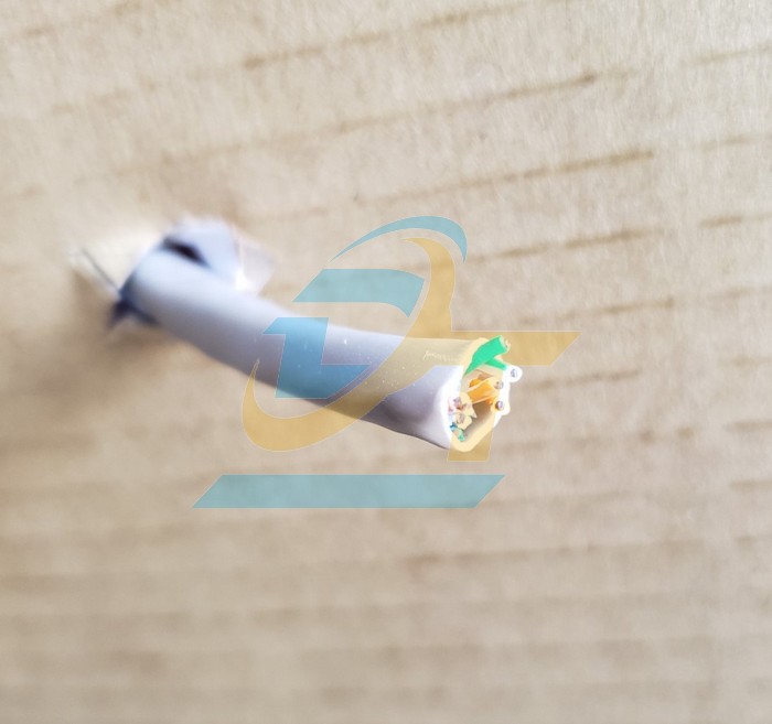 Cáp mạng Dintek CAT6 UTP 100m 1101-04005CH 1101-04005CH DINTEK | Giá rẻ nhất - Công Ty TNHH Thương Mại Dịch Vụ Đạt Tâm