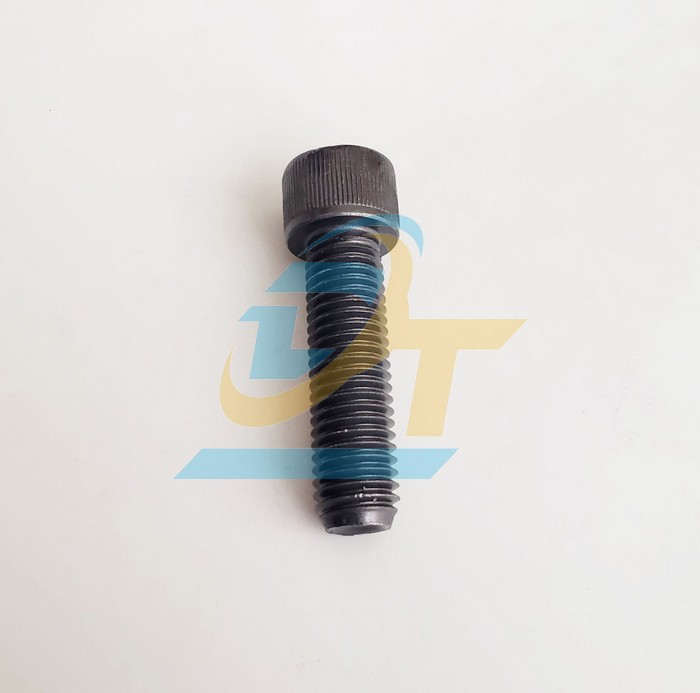 Bulong lục gi&aacute;c ch&igrave;m đầu trụ th&eacute;p đen M6x12  VietNam | Gi&aacute; rẻ nhất - C&ocirc;ng Ty TNHH Thương Mại Dịch Vụ Đạt T&acirc;m
