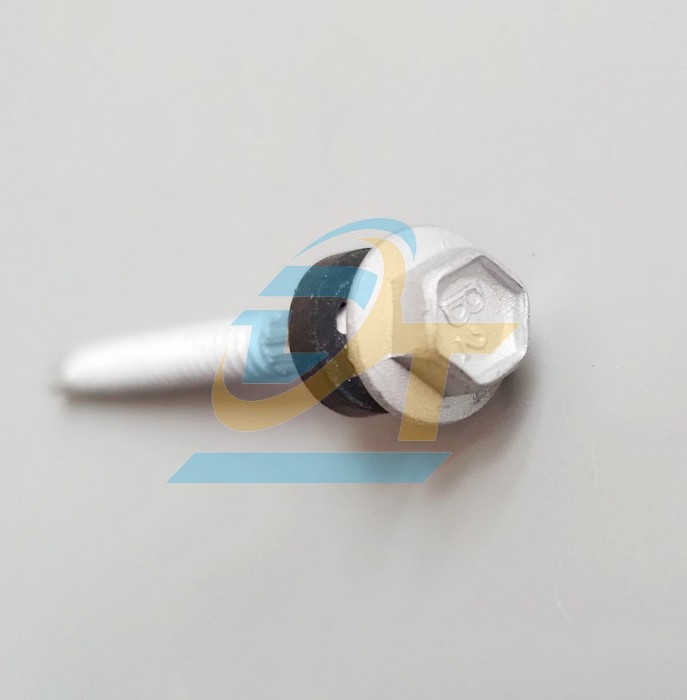 Vít bắn tôn ron đen mạ kẽm nhúng nóng B2 70mm  VietNam | Giá rẻ nhất - Công Ty TNHH Thương Mại Dịch Vụ Đạt Tâm