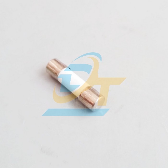 Cầu chì sứ 5x20 China 10A  China | Giá rẻ nhất - Công Ty TNHH Thương Mại Dịch Vụ Đạt Tâm