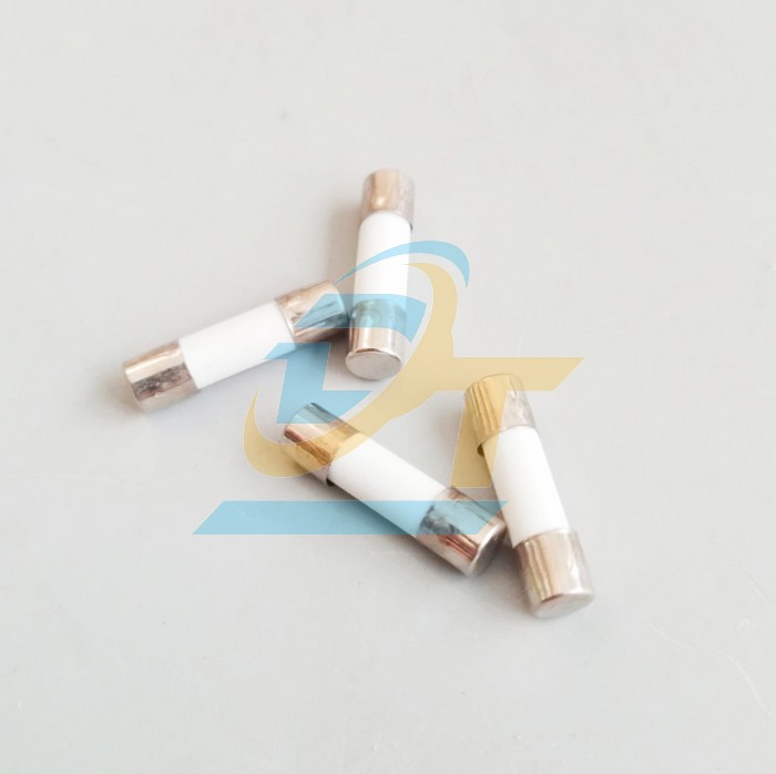 Cầu chì sứ 5x20 China 10A  China | Giá rẻ nhất - Công Ty TNHH Thương Mại Dịch Vụ Đạt Tâm