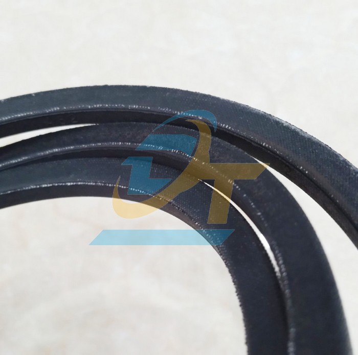 Dây curoa Mitsuboshi A62  Mitsuboshi | Giá rẻ nhất - Công Ty TNHH Thương Mại Dịch Vụ Đạt Tâm