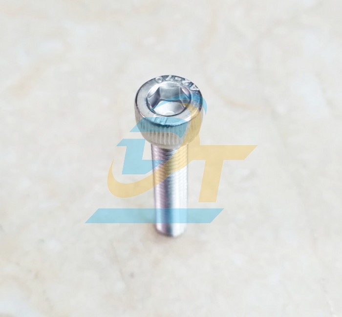 Bulong lục gi&aacute;c ch&igrave;m đầu trụ inox 304 M12x30  VietNam | Gi&aacute; rẻ nhất - C&ocirc;ng Ty TNHH Thương Mại Dịch Vụ Đạt T&acirc;m