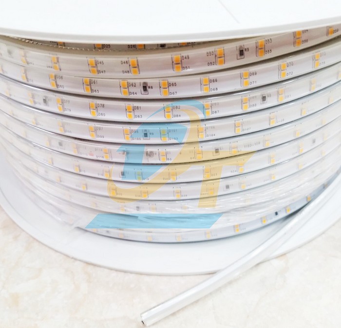 Đèn led dây 3030 220V 2 hàng ánh sáng trắng 100m  China | Giá rẻ nhất - Công Ty TNHH Thương Mại Dịch Vụ Đạt Tâm