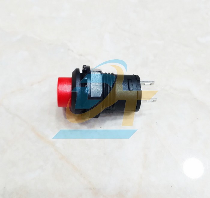 Nút nhấn nhả 12mm 1.5A 250V 2 chân DS-227  China | Giá rẻ nhất - Công Ty TNHH Thương Mại Dịch Vụ Đạt Tâm