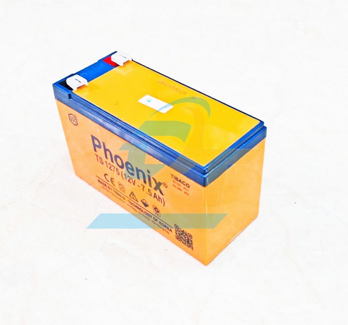 Ắc quy khô 12V 7.5Ah Phoenix TS1275  PHOENIX | Giá rẻ nhất - Công Ty TNHH Thương Mại Dịch Vụ Đạt Tâm