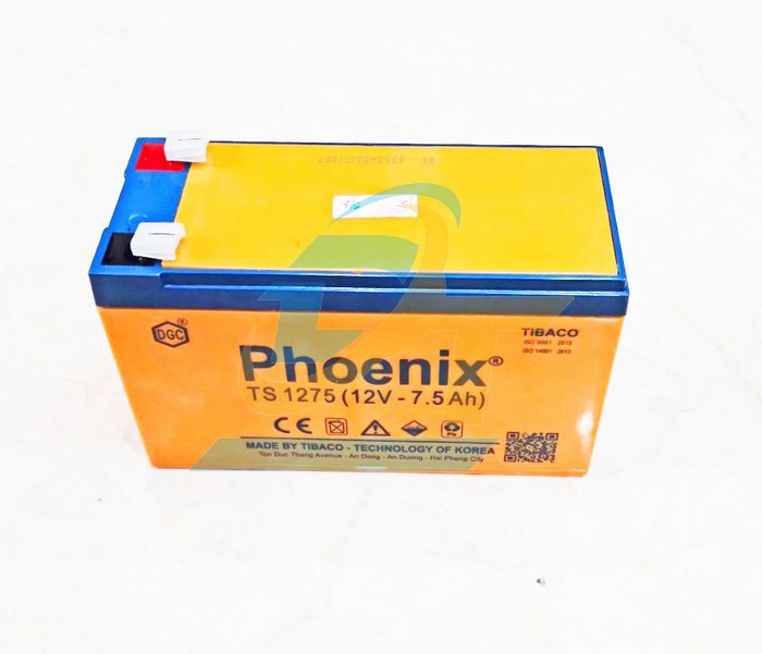 Ắc quy khô 12V 7.5Ah Phoenix TS1275  PHOENIX | Giá rẻ nhất - Công Ty TNHH Thương Mại Dịch Vụ Đạt Tâm