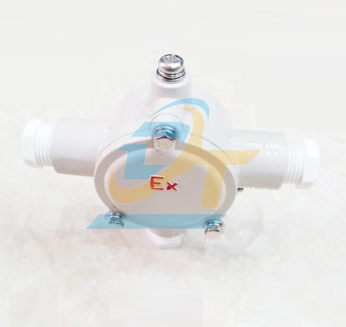 Đèn phòng chống nổ 220V EEW BPY 2x36  EEW | Giá rẻ nhất - Công Ty TNHH Thương Mại Dịch Vụ Đạt Tâm