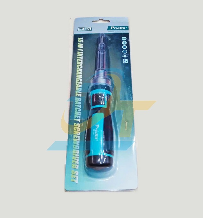 Bộ vít 2 đầu 13 chi tiết Pro'skit SD-9821  Pro'skit | Giá rẻ nhất - Công Ty TNHH Thương Mại Dịch Vụ Đạt Tâm