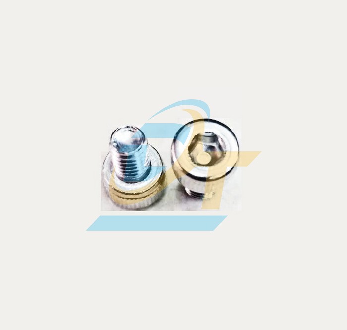Bulong lục giác chìm đầu trụ inox 304 M4x6  VietNam | Giá rẻ nhất - Công Ty TNHH Thương Mại Dịch Vụ Đạt Tâm