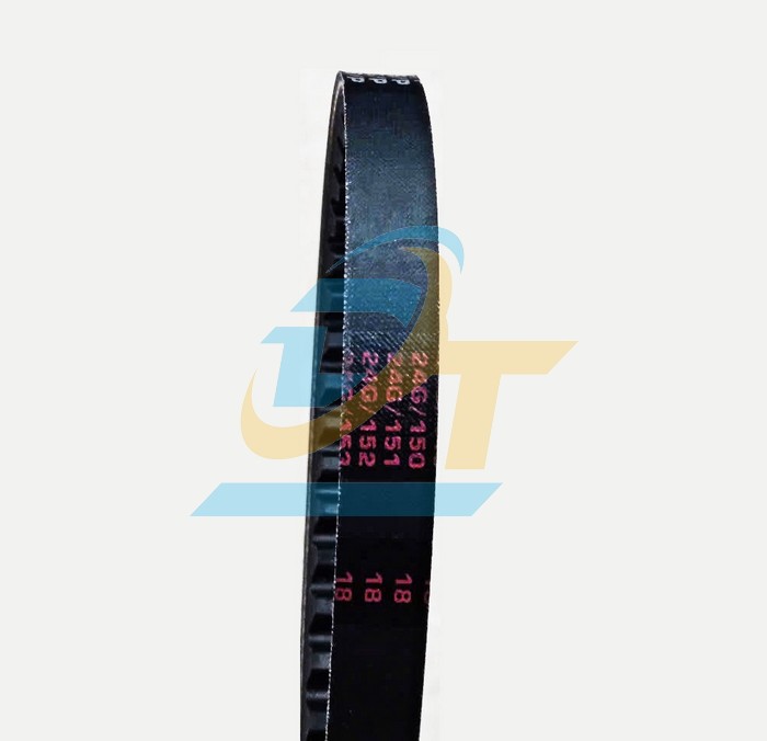 Dây curoa Mitsuba RECMF-8310  MITSUBA | Giá rẻ nhất - Công Ty TNHH Thương Mại Dịch Vụ Đạt Tâm