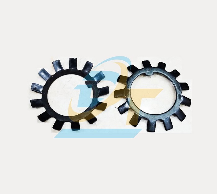 Vòng đệm khóa (Vòng đệm hãm) có cánh DIN 5406 MB5 D25  VietNam | Giá rẻ nhất - Công Ty TNHH Thương Mại Dịch Vụ Đạt Tâm